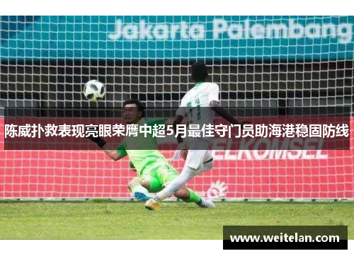 陈威扑救表现亮眼荣膺中超5月最佳守门员助海港稳固防线