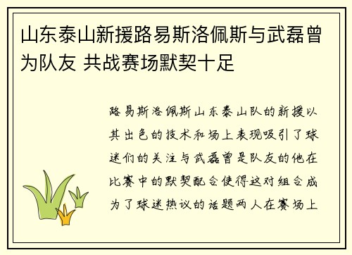 山东泰山新援路易斯洛佩斯与武磊曾为队友 共战赛场默契十足